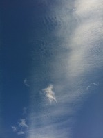 photo-16