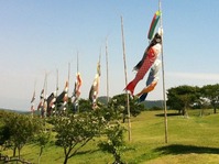 photo-43
