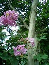 1104e7c0.jpg