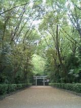 4c2721f1.jpg
