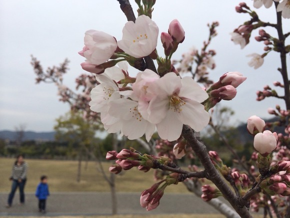 2014-03-29-14-35-04