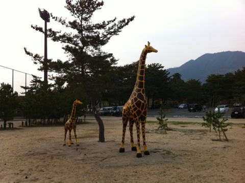 画像9