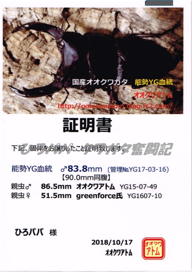アトムさん17年3番