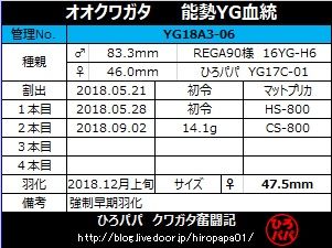 YG18A3-06