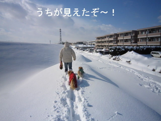BlogPaint