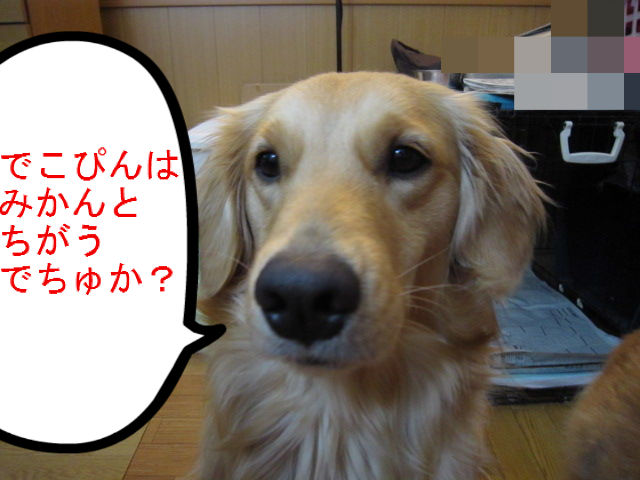 BlogPaint