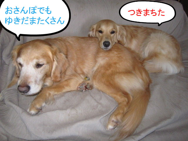 BlogPaint