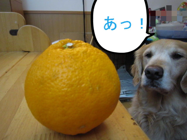 BlogPaint