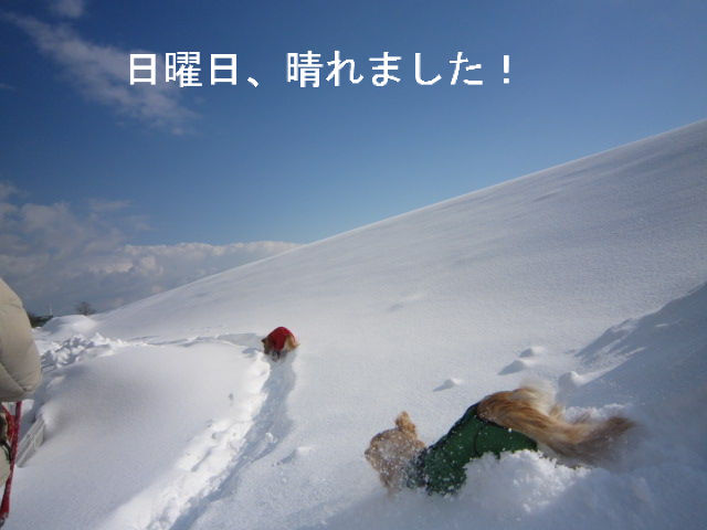 BlogPaint