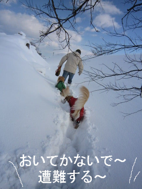 BlogPaint