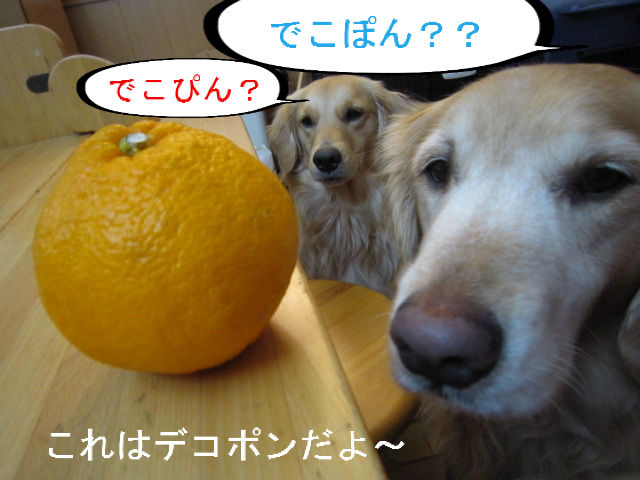 BlogPaint