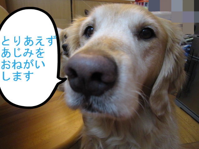 BlogPaint