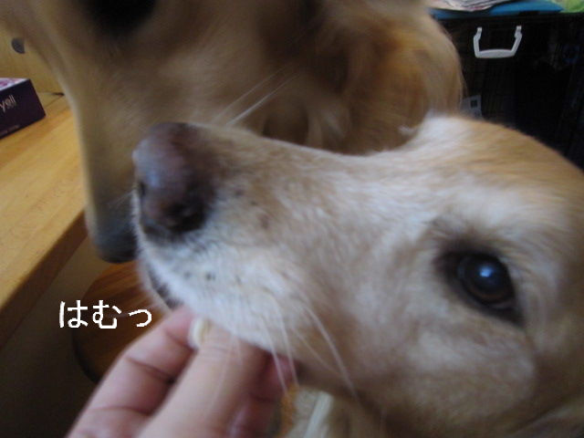 BlogPaint