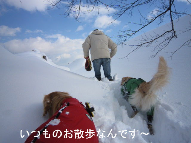 BlogPaint