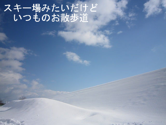 BlogPaint