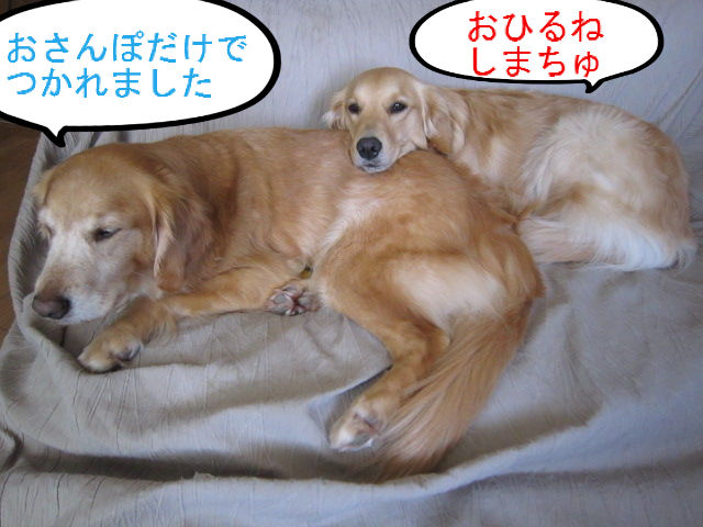 BlogPaint