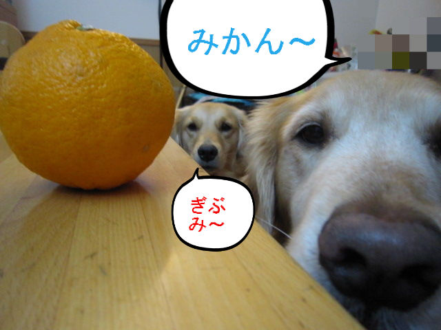 BlogPaint