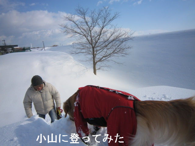 BlogPaint