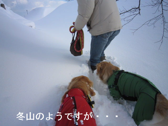 BlogPaint