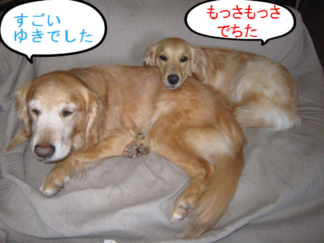 BlogPaint