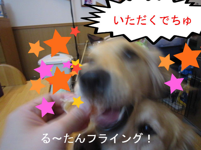 BlogPaint