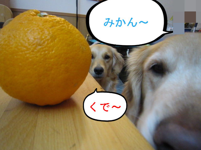 BlogPaint