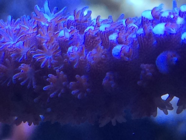 2015-08-26-01-11-50