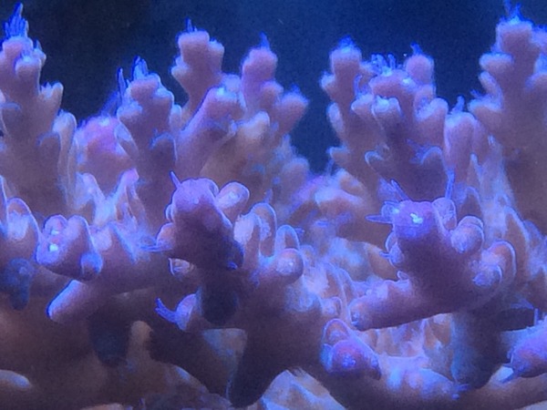 2015-08-26-01-10-14