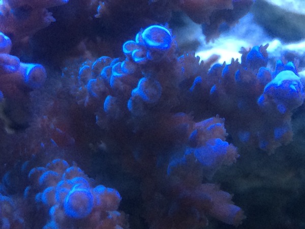 2015-08-26-23-36-30