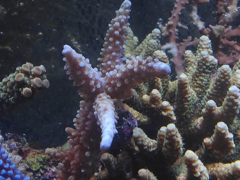 CA3J0167