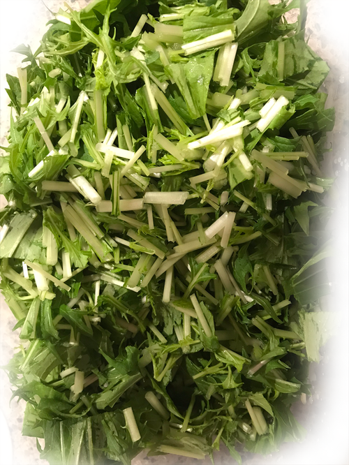 水菜切り置き