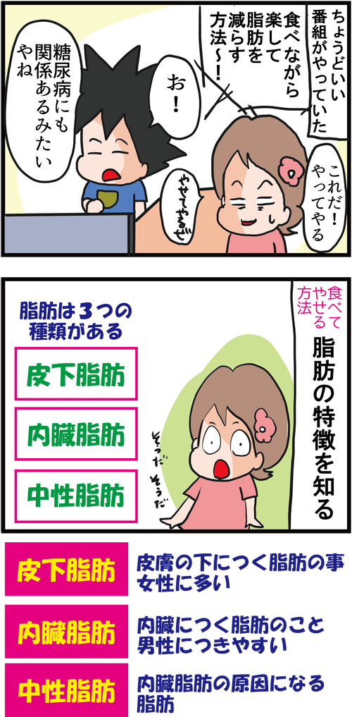 【血糖値コントロール】食べて脂肪を燃やすダイエット?!2