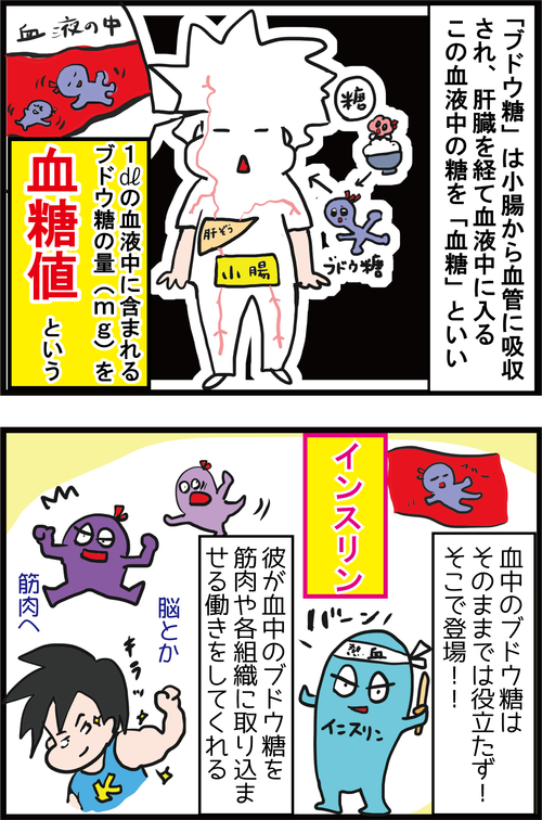 今さら聞けない!なぜ「血糖値が高くなる」のか?!3