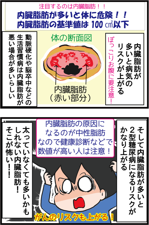 【血糖値コントロール】食べて脂肪を燃やすダイエット?!3