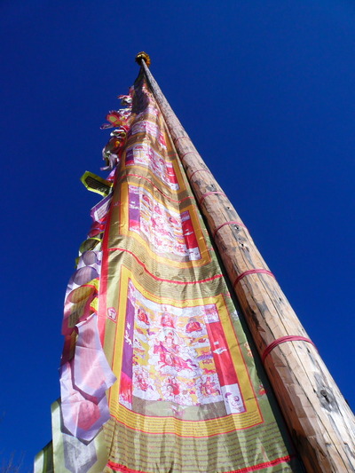 P1170930