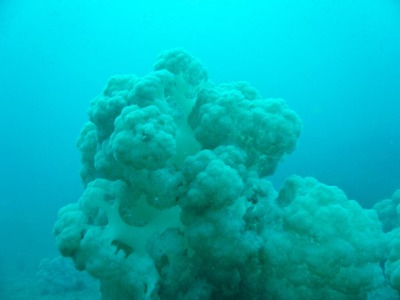 P1150507