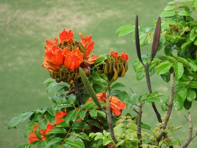 IMG_0934170825