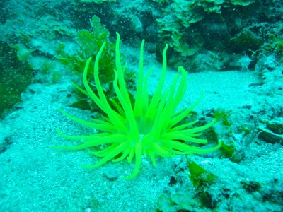 P1150503