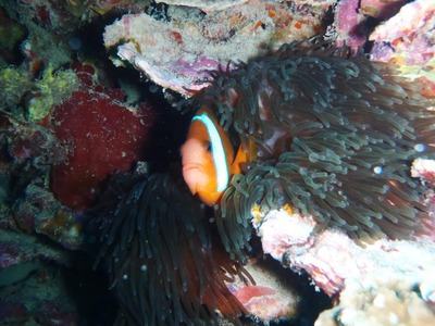 P1122642