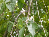 P1010416