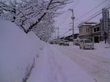 SANY0888