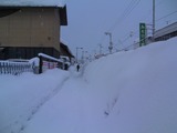 SANY0886
