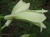 画像 002