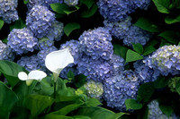 GUM08_PH02030