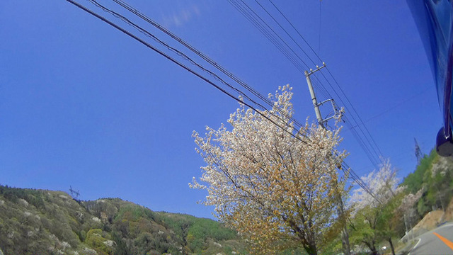 S10C0043