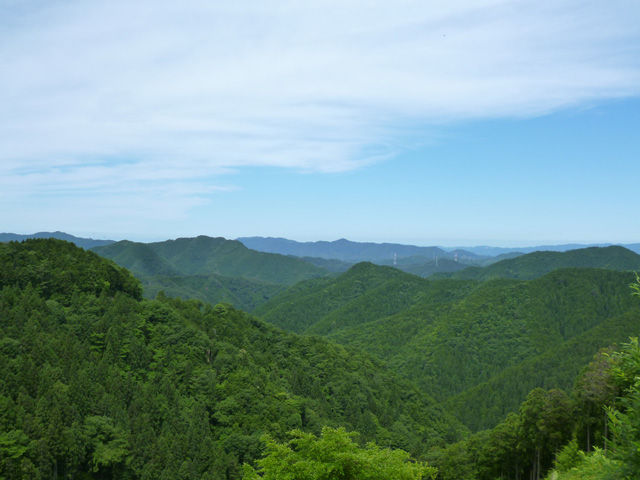 P1030646