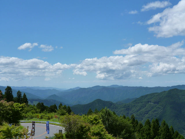 P1030271