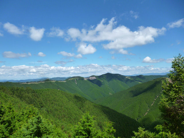 P1030264