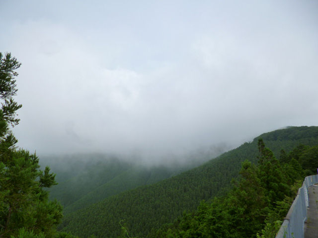 P1030219
