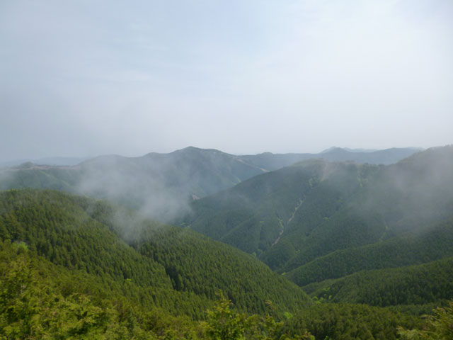 P1010668